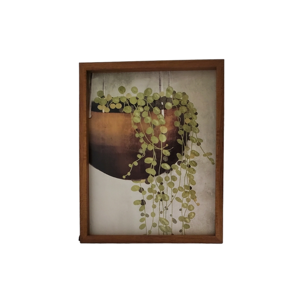 Hanging Plant Wall Décor/Wall Art
